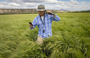 Graduate student Raul Rosevear collects soil samples.