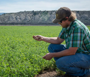 Chip Norton, President Sinagua Malt